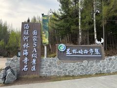 -汤旺河林海奇石景区