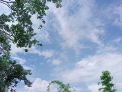 -华莱士·炸鸡汉堡(奥林花园店)