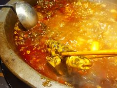 -石锅苗苗鱼(武汉首店)