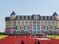 -百万葵园