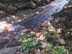 -神光山国家森林公园