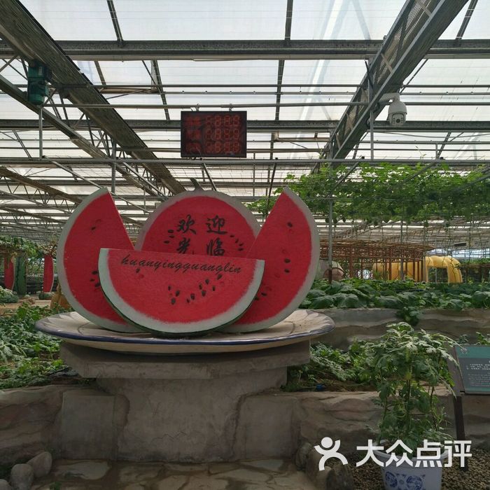 老宋瓜王采摘园图片-北京采摘/农家乐-大众点评网