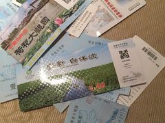 -白洋淀景区