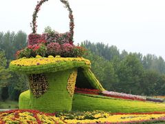 -上海鲜花港