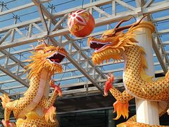 -武汉园博园(武汉自然博物馆)