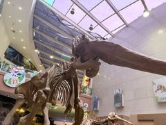 -陕西自然博物馆