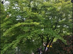 -圩墩遗址公园
