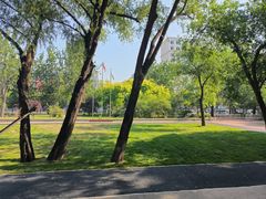 -糖心家族国际幼儿园·托育园(南开水上公园店)