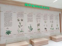 -广西壮族自治区药用植物园