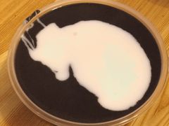 -芝麻糊世家(西华店)