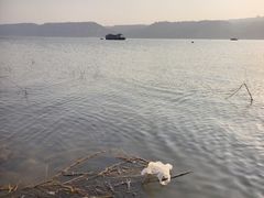 -刘家峡水库
