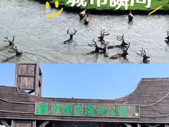 -溱湖国家湿地公园