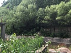 -碓臼峪自然风景区