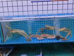 -震海贝烤贝·民俗特色店(延吉总店)