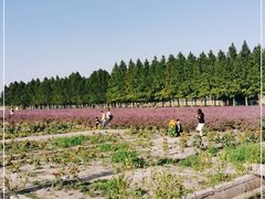 -嘉北郊野公园