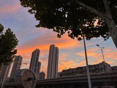 -西贝(武汉天地店)