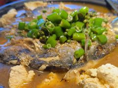 鲜青椒爽麻烤鱼-探鱼·鲜青椒爽麻烤鱼(苏宁广场店)