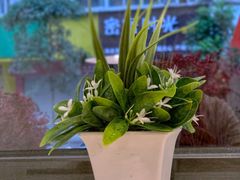 -肥安娜·小吃·饮品