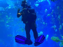 -太平洋海底世界