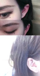 -花师傅