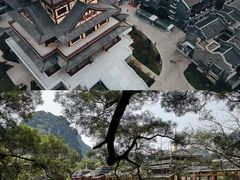 -柳州市动物园