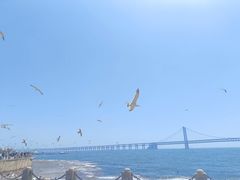 -星海广场