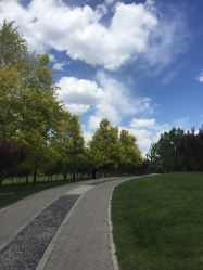 -大望京儿童游乐场