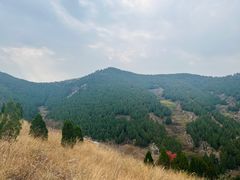 -龙洞风景区-藏龙涧