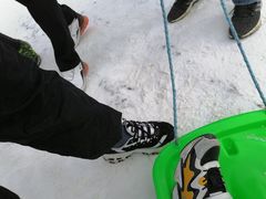 -沈阳奥体冰雪嘉年华