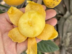 -东山风景区(洞庭东山)