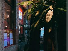 -Boxing Cat Brewery拳击猫精酿啤酒馆(永福店)
