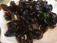凉拌木耳-四季合味椰子鸡(南山大冲店)