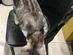 -谜盒子奇幻密室(南屏店)