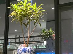 -西湖春天•老字号杭州菜(百汇店)