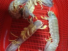 -班赞海鲜市场