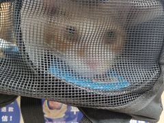 -美联众合动物医院(·中兽医·疑难杂症·严家桥分院)