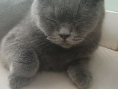 -平行世界·猫咖(首经贸店)