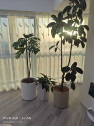 -HEYAN荷妍专业脱毛连锁机构
