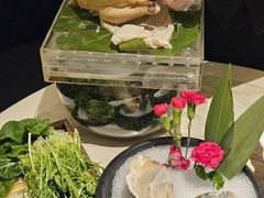 -汤城·料青山