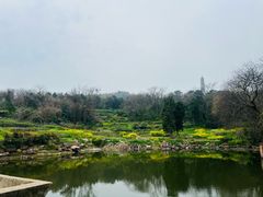 -巢湖姥山岛