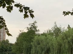 -沙河三洞古桥公园