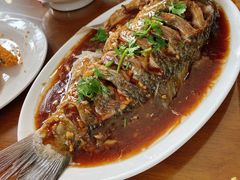 四鼻孔鲤鱼-微山岛春天里酒家
