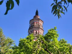 -顺峰山公园