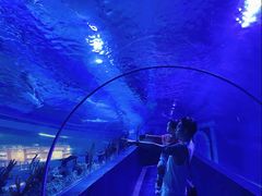 -成都浩海立方海洋公园