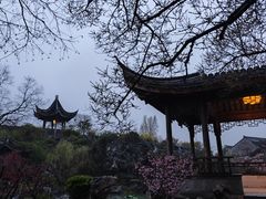 -芥子园
