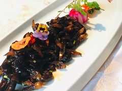 -富乐山酒店(西黄城根北街店)