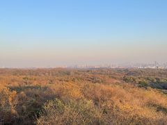-南京老山国家森林公园