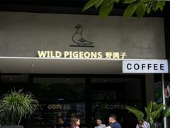 -野鸽子咖啡(航空路店)