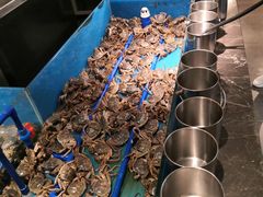 -星伦多自助料理(花山金鹰店)