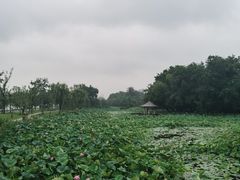 -Beans Solo豆号咖啡(百家湖花园店)